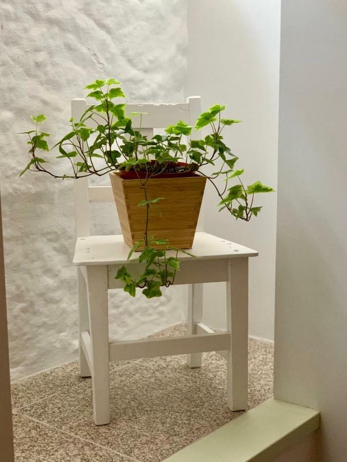Casa Da Lurdinhas Daire Tabuaço Dış mekan fotoğraf